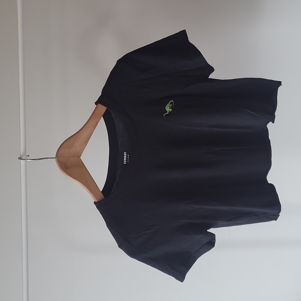 Dinosaur Crop Top